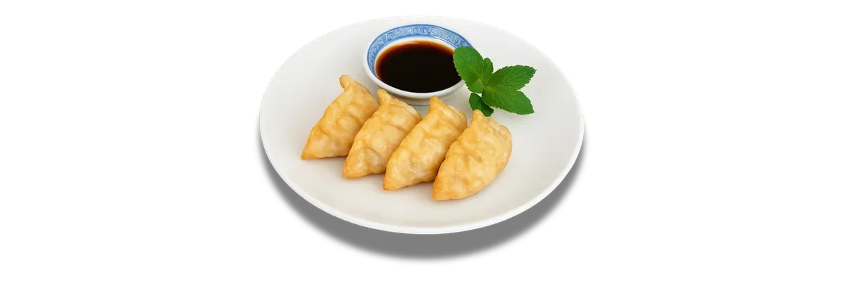 Gyoza Au Légume Frit